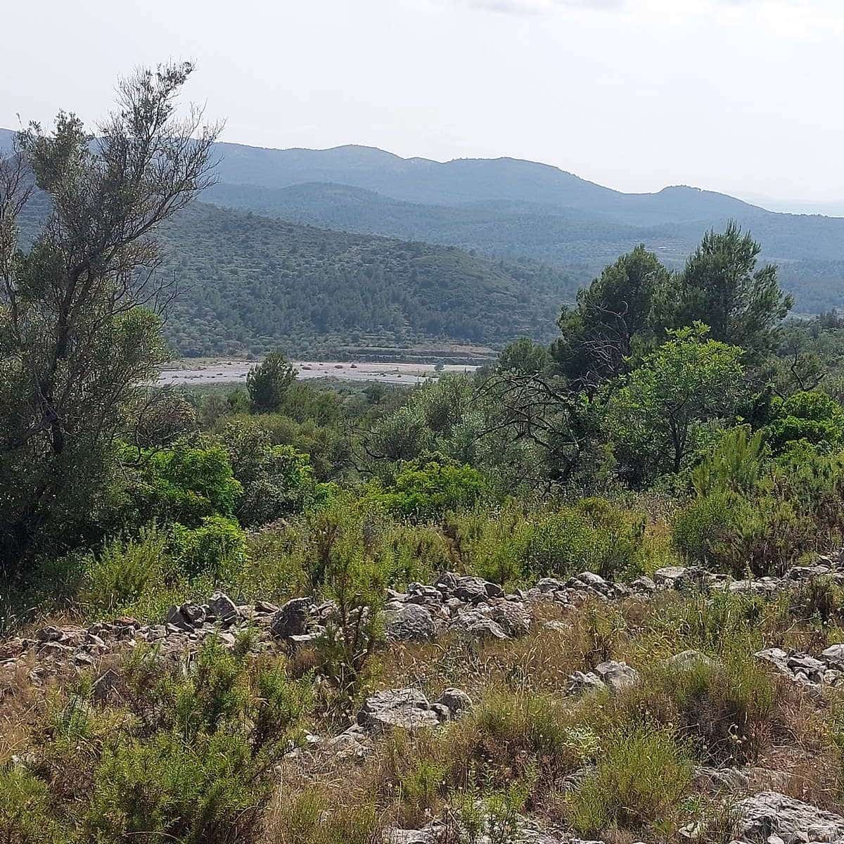 Grunde uden byggetilladelser til salg i Cervera del Maestre / Cervera del Maestrat - € 21.000 (Ref: 9072690)