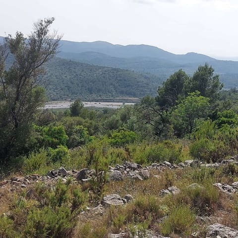 Teren niezagospodarowany na sprzedaż w Cervera del Maestre / Cervera del Maestrat - 21 000 € (Ref: 9072690)