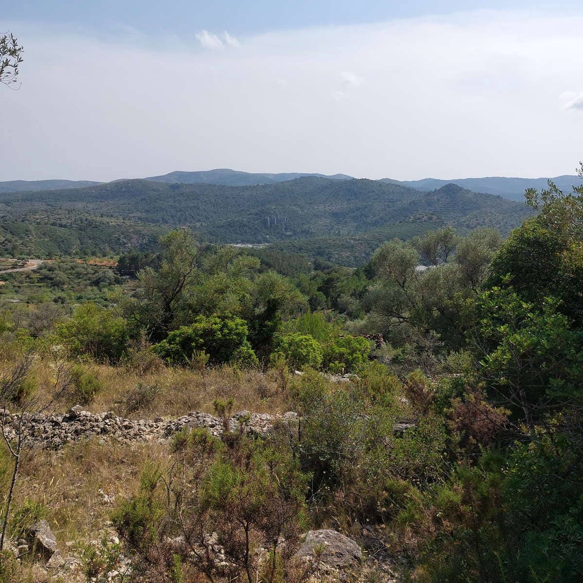 Grunde uden byggetilladelser til salg i Cervera del Maestre / Cervera del Maestrat - € 21.000 (Ref: 9072690)