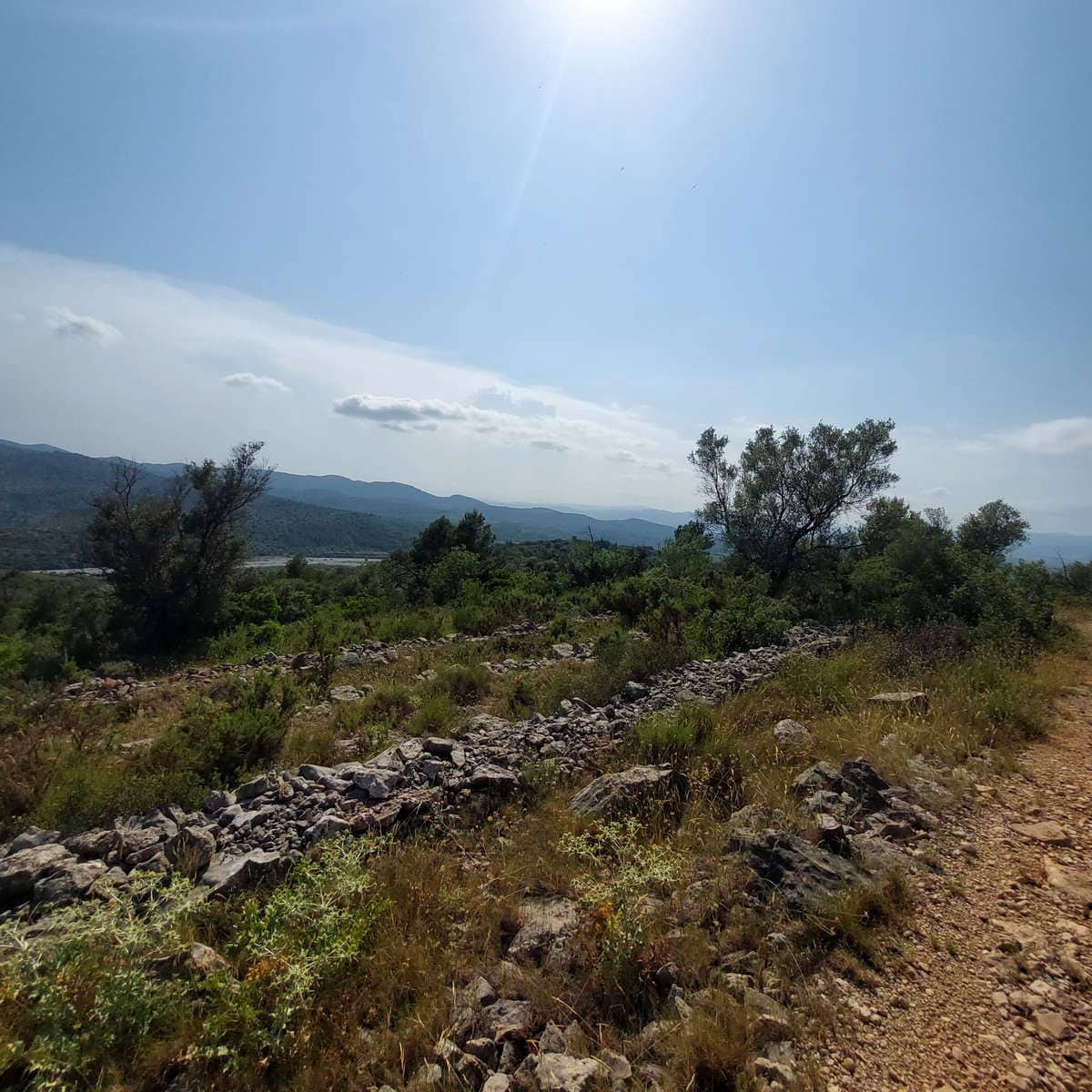 Grunde uden byggetilladelser til salg i Cervera del Maestre / Cervera del Maestrat - € 21.000 (Ref: 9072690)