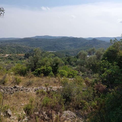 Teren niezagospodarowany na sprzedaż w Cervera del Maestre / Cervera del Maestrat - 21 000 € (Ref: 9072690)