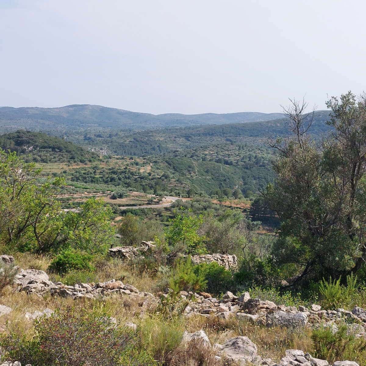 Grunde uden byggetilladelser til salg i Cervera del Maestre / Cervera del Maestrat - € 21.000 (Ref: 9072690)