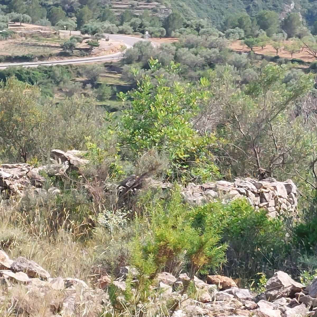 Grunde uden byggetilladelser til salg i Cervera del Maestre / Cervera del Maestrat - € 21.000 (Ref: 9072690)