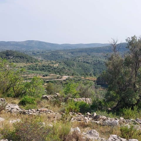 Teren niezagospodarowany na sprzedaż w Cervera del Maestre / Cervera del Maestrat - 21 000 € (Ref: 9072690)