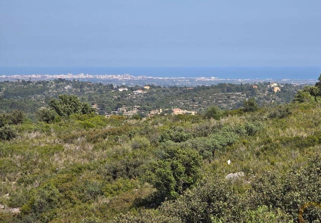 Grunde uden byggetilladelser til salg i Cervera del Maestre / Cervera del Maestrat - € 42.000 (Ref: 9802558)