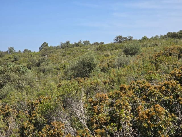 Grunde uden byggetilladelser til salg i Cervera del Maestre / Cervera del Maestrat - € 42.000 (Ref: 9802558)