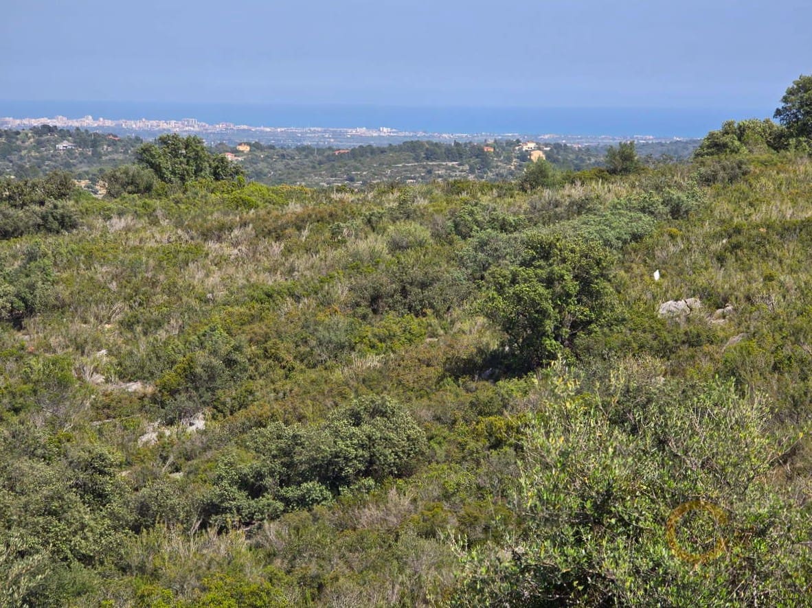 Grunde uden byggetilladelser til salg i Cervera del Maestre / Cervera del Maestrat - € 42.000 (Ref: 9802558)