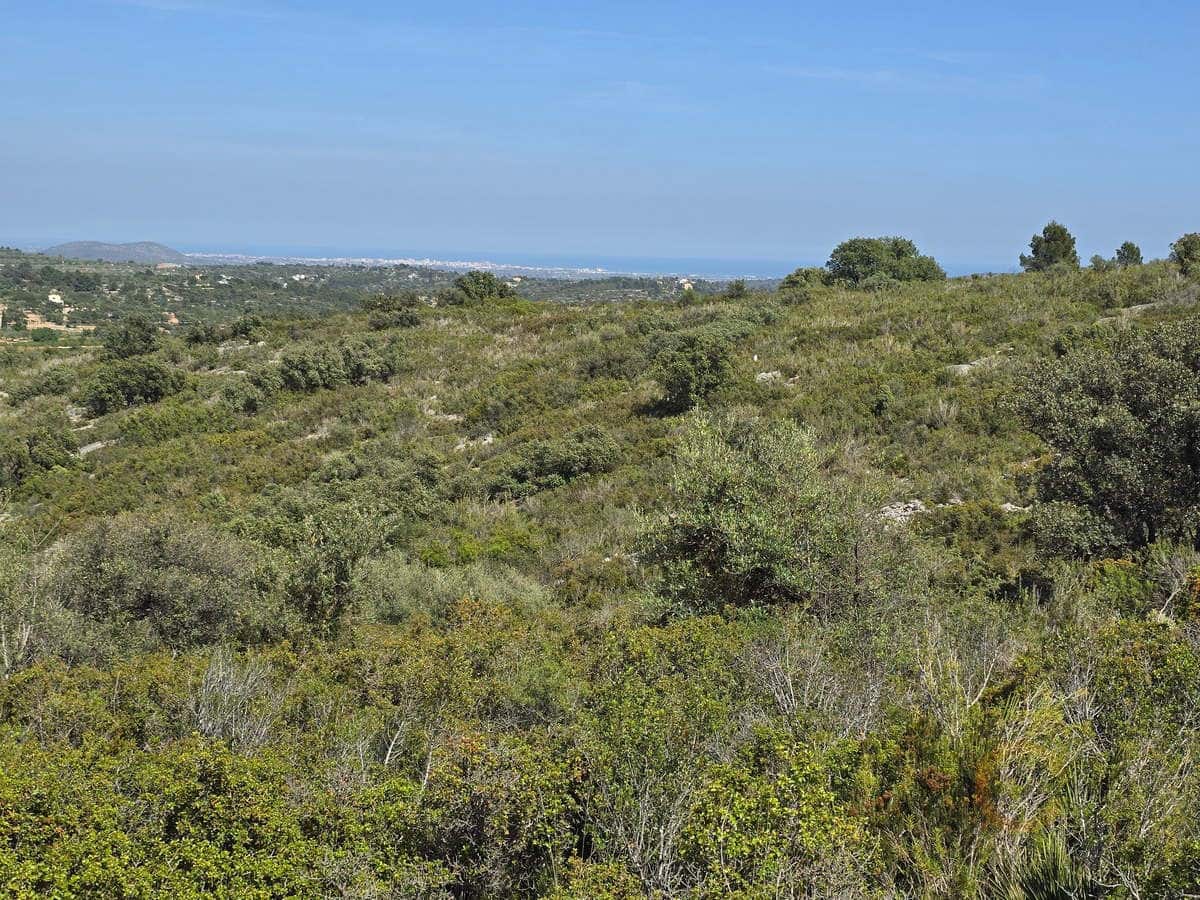 Grunde uden byggetilladelser til salg i Cervera del Maestre / Cervera del Maestrat - € 42.000 (Ref: 9802558)