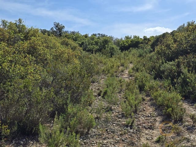 Grunde uden byggetilladelser til salg i Cervera del Maestre / Cervera del Maestrat - € 42.000 (Ref: 9802558)