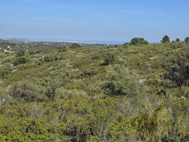 Grunde uden byggetilladelser til salg i Cervera del Maestre / Cervera del Maestrat - € 42.000 (Ref: 9802558)