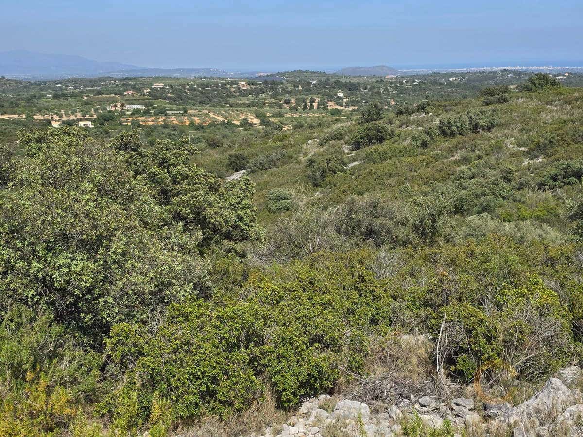 Grunde uden byggetilladelser til salg i Cervera del Maestre / Cervera del Maestrat - € 42.000 (Ref: 9802558)