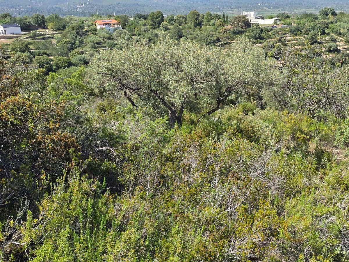 Grunde uden byggetilladelser til salg i Cervera del Maestre / Cervera del Maestrat - € 42.000 (Ref: 9802558)