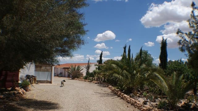 7 makuuhuone Maalaistalo myytävänä paikassa La Pinilla, Fuente Alamo de Murcia mukana uima-altaan 
autotalli - 299 950 € (Ref: 2889824)