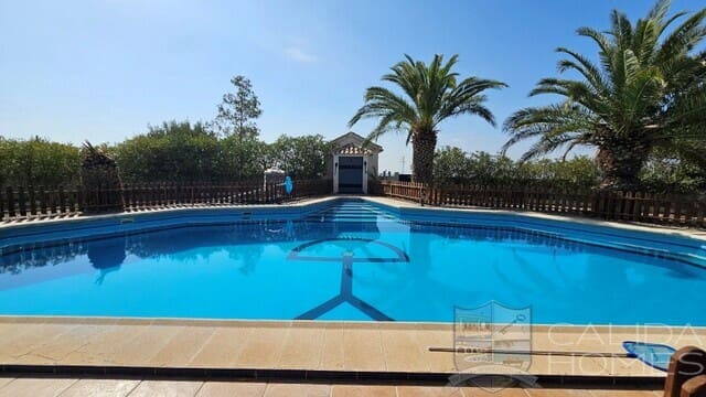 5 Zimmer Villa zu verkaufen in Huércal-Overa mit Pool - 485.000 € (Ref: 10045842)