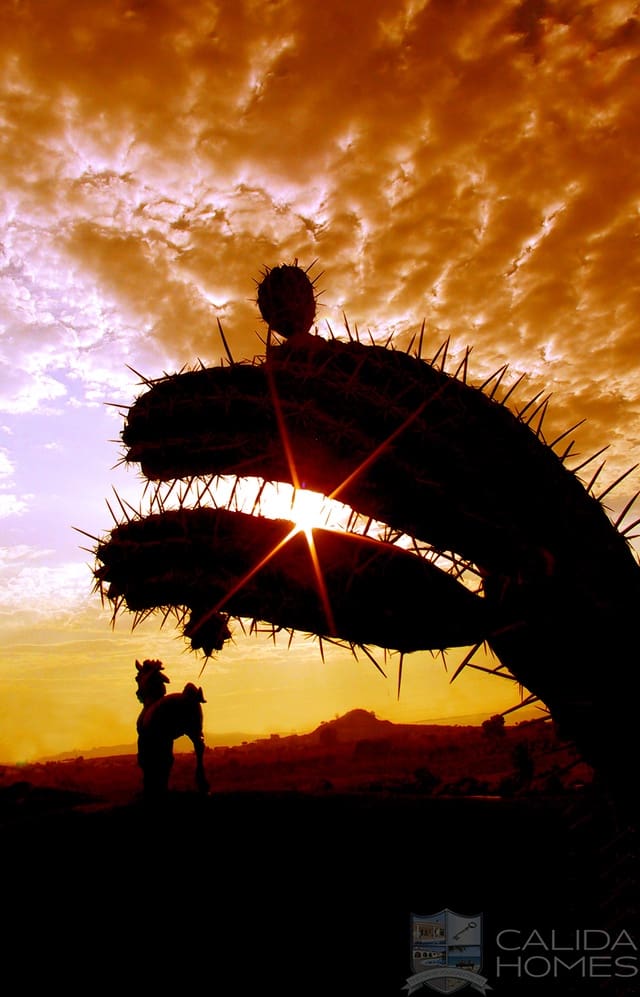 3 soverom Villa til salgs i Cuevas del Almanzora med svømmebasseng - € 385 000 (Ref: 9146091)