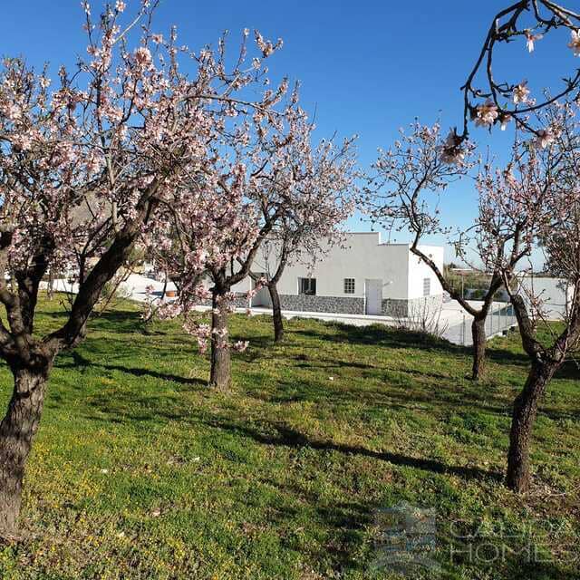 3 sovrum Villa till salu i Oria - 198 950 € (Ref: 9207660)