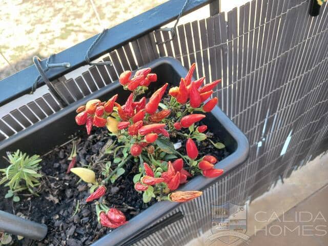 2 camera da letto Appartamento in vendita in Palomares, Cuevas del Almanzora con piscina - 179.000 € (Rif: 9347798)