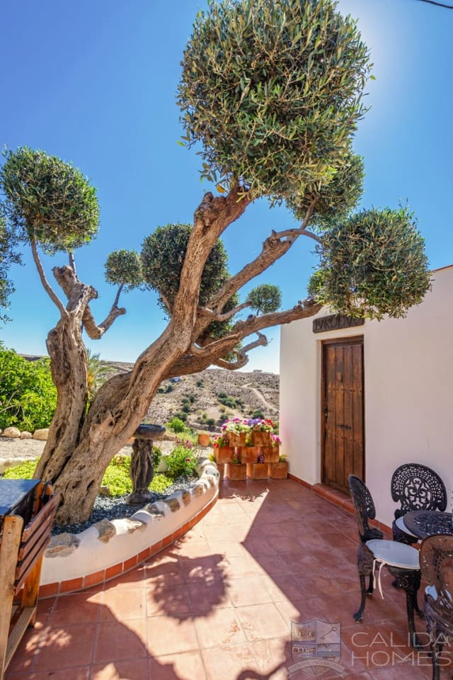 8 soveværelse Finca/Landehus til salg i Arroyo Medina - € 495.000 (Ref: 9446783)