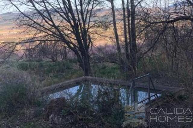 6 bedroom Finca/Country House for sale in Velez-Blanco with garage - € 219,900 (Ref: 9722624)