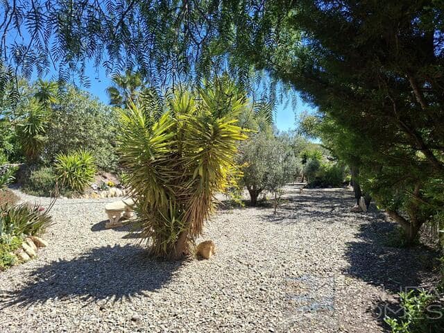 Chalet de 4 habitaciones en Arboleas en venta con piscina garaje - 349.950 € (Ref: 9753555)