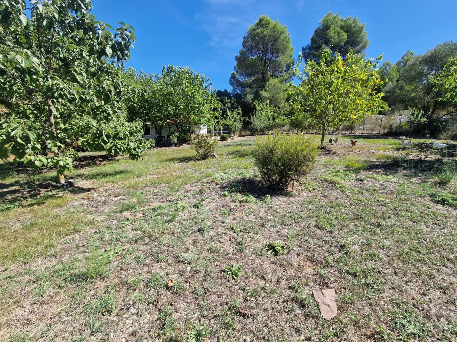 3 sypialnia Finka/Dom wiejski na sprzedaż w L'Orxa / Lorcha - 140 000 € (Ref: 10090974)