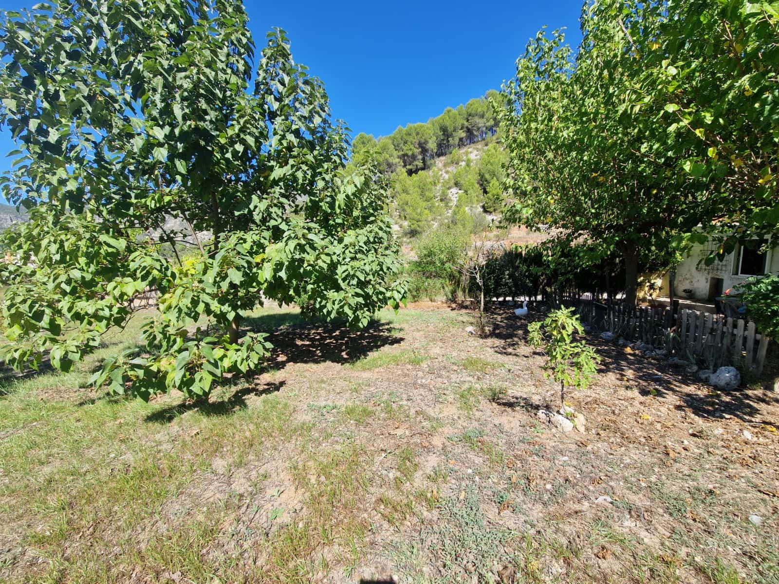 3 sypialnia Finka/Dom wiejski na sprzedaż w L'Orxa / Lorcha - 140 000 € (Ref: 10090974)