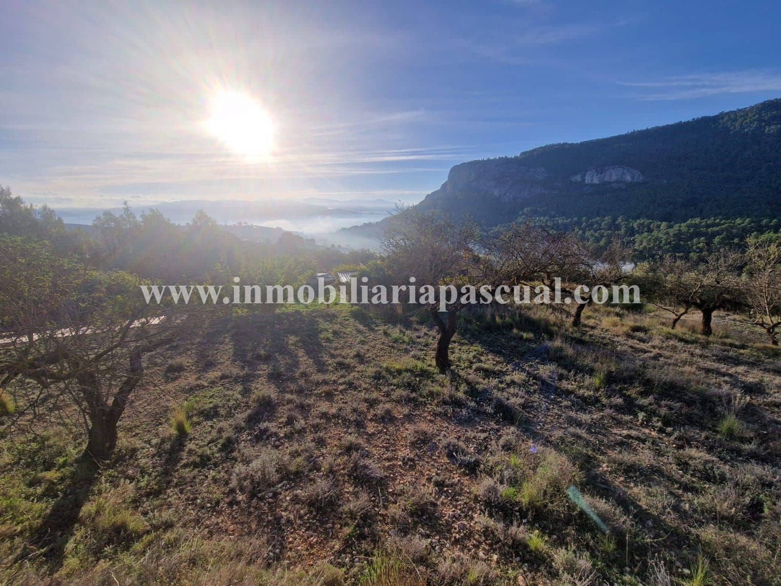 3 soverom Finca/Herregård til salgs i Muro de Alcoy med svømmebasseng garasje - € 125 000 (Ref: 10177431)