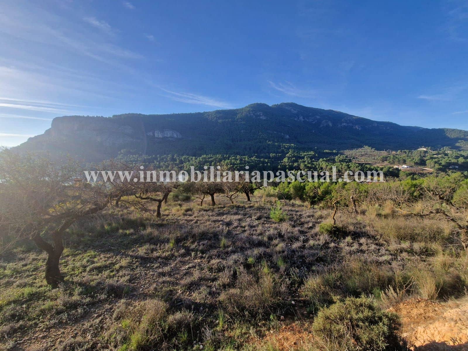 3 soverom Finca/Herregård til salgs i Muro de Alcoy med svømmebasseng garasje - € 125 000 (Ref: 10177431)