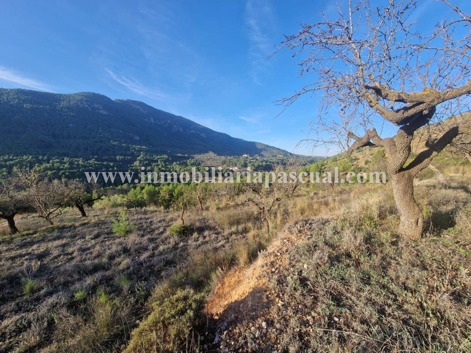 3 soverom Finca/Herregård til salgs i Muro de Alcoy med svømmebasseng garasje - € 125 000 (Ref: 10177431)