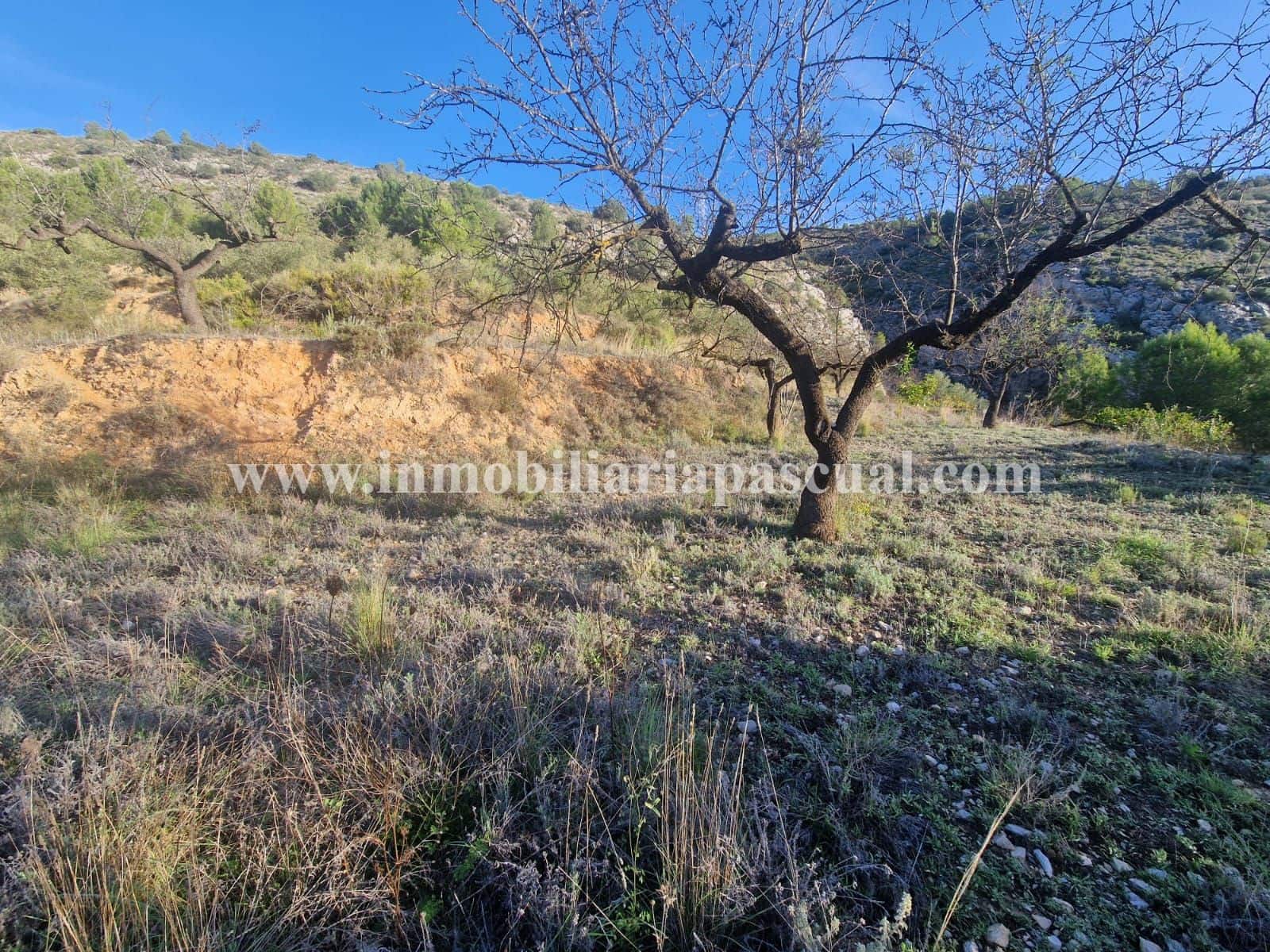 3 soverom Finca/Herregård til salgs i Muro de Alcoy med svømmebasseng garasje - € 125 000 (Ref: 10177431)