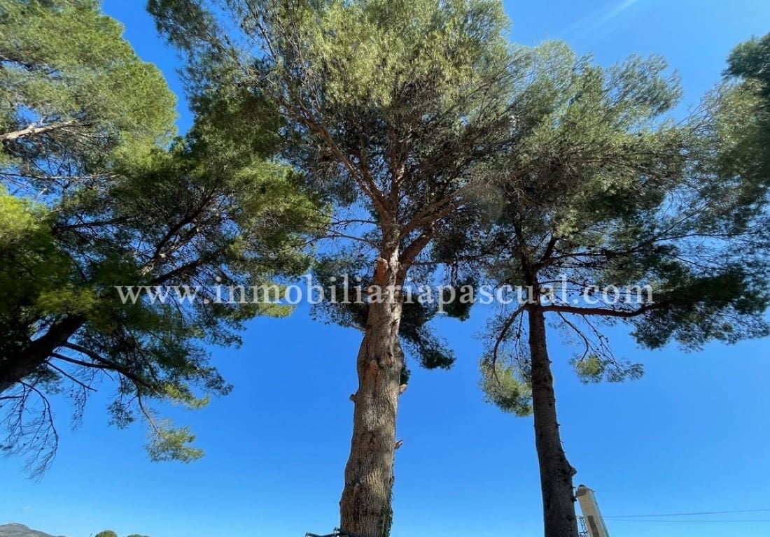 2 soverom Finca/Herregård til salgs i Muro de Alcoy med garasje - € 200 000 (Ref: 8447133)