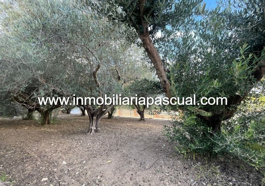 7 quarto Quinta/Casa Rural para venda em Cocentaina - 180 000 € (Ref: 8613561)