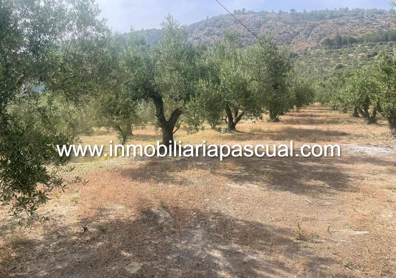 Finca/Casa Rural de 3 habitaciones en L'Orxa / Lorcha en venta - 140.000 € (Ref: 9066557)