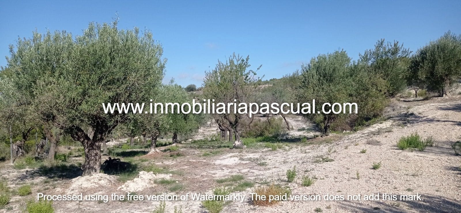 Bouwgrond te koop in Benasau - € 18.000 (Ref: 9076961)