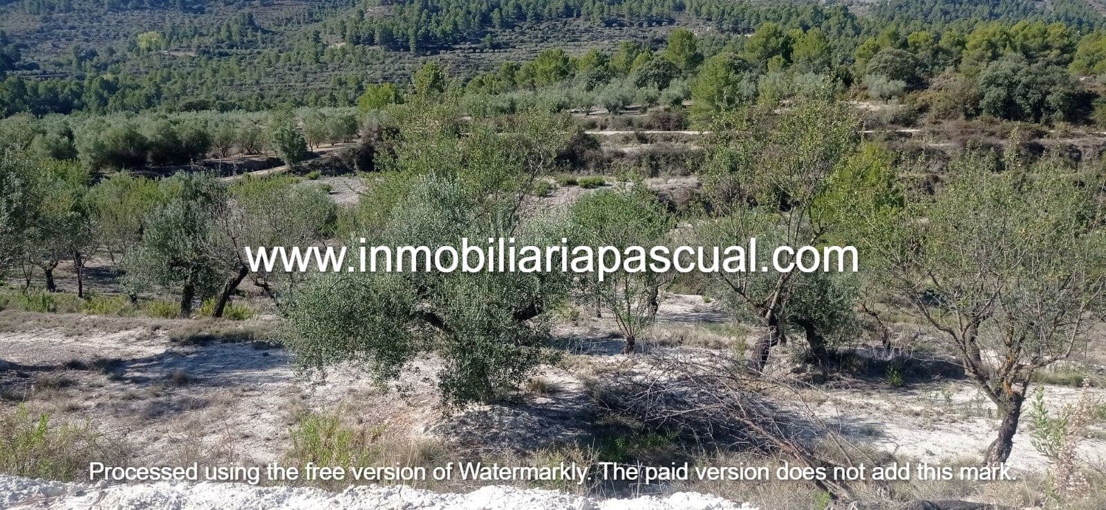 Bouwgrond te koop in Benasau - € 18.000 (Ref: 9076961)