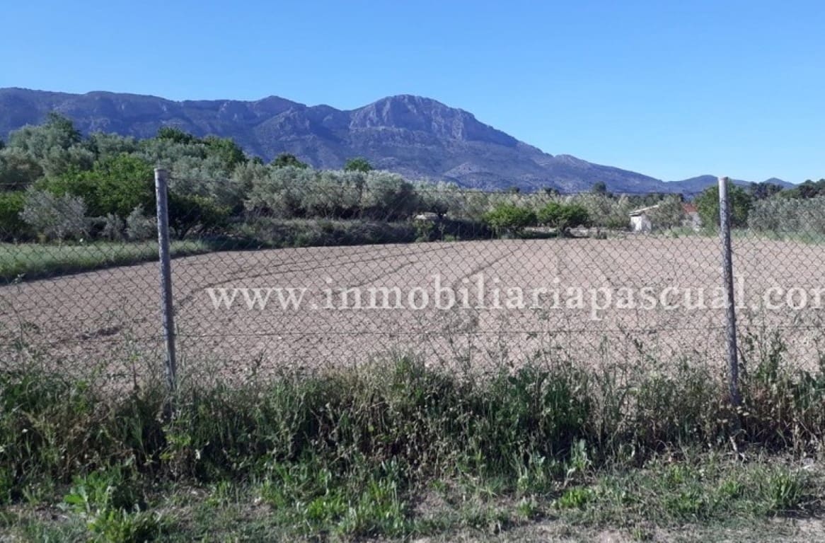 Byggegrund til salg i Alcocer de Planes - € 15.000 (Ref: 9542979)