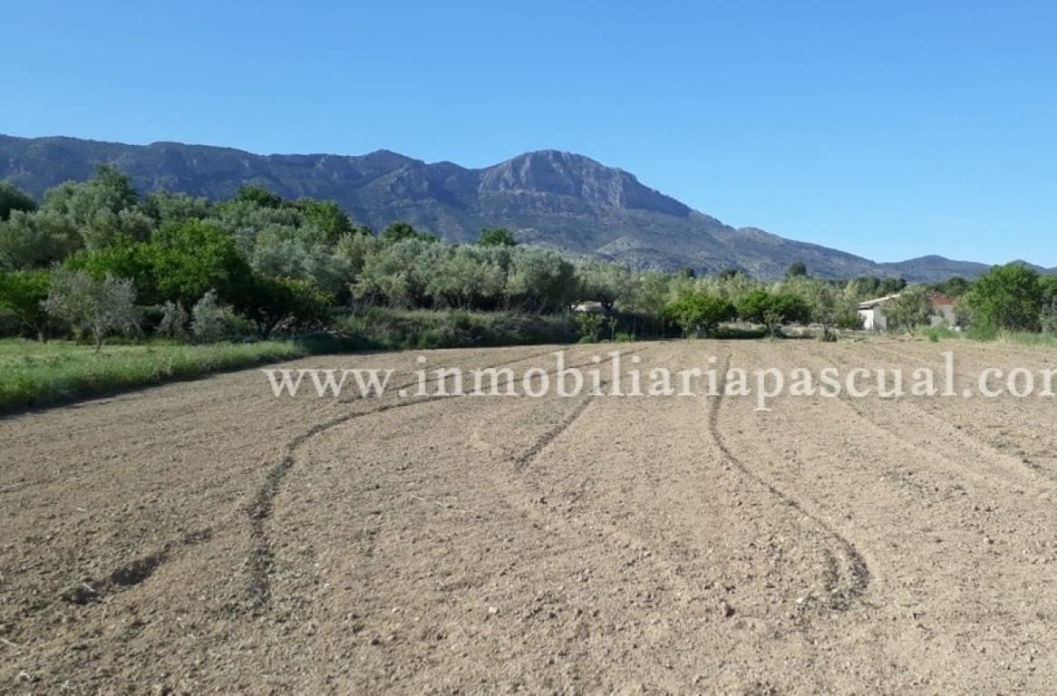 Byggegrund til salg i Alcocer de Planes - € 15.000 (Ref: 9542979)