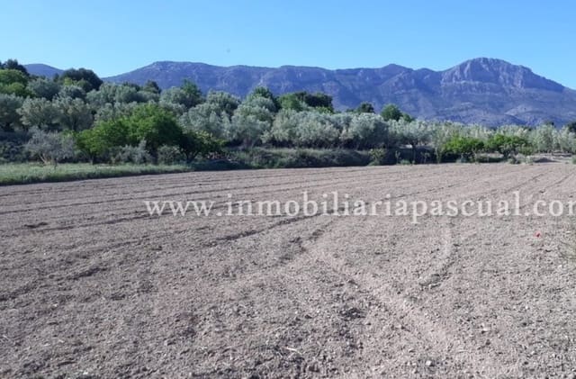 Byggegrund til salg i Alcocer de Planes - € 15.000 (Ref: 9542979)