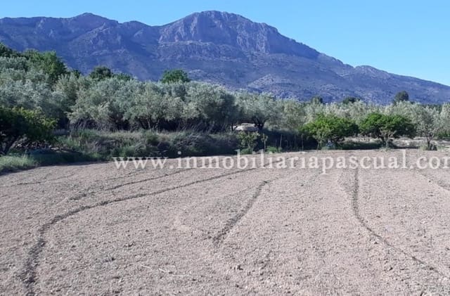 Byggegrund til salg i Alcocer de Planes - € 15.000 (Ref: 9542979)