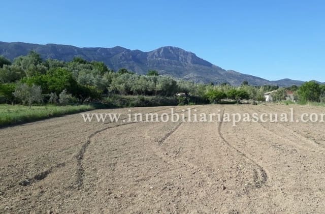 Byggegrund til salg i Alcocer de Planes - € 15.000 (Ref: 9542979)