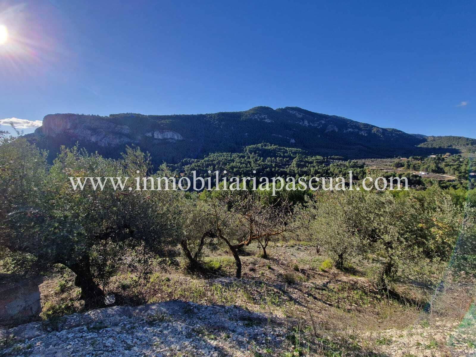 3 slaapkamer Finca/Landhuis te koop in Agres - € 120.000 (Ref: 9902437)