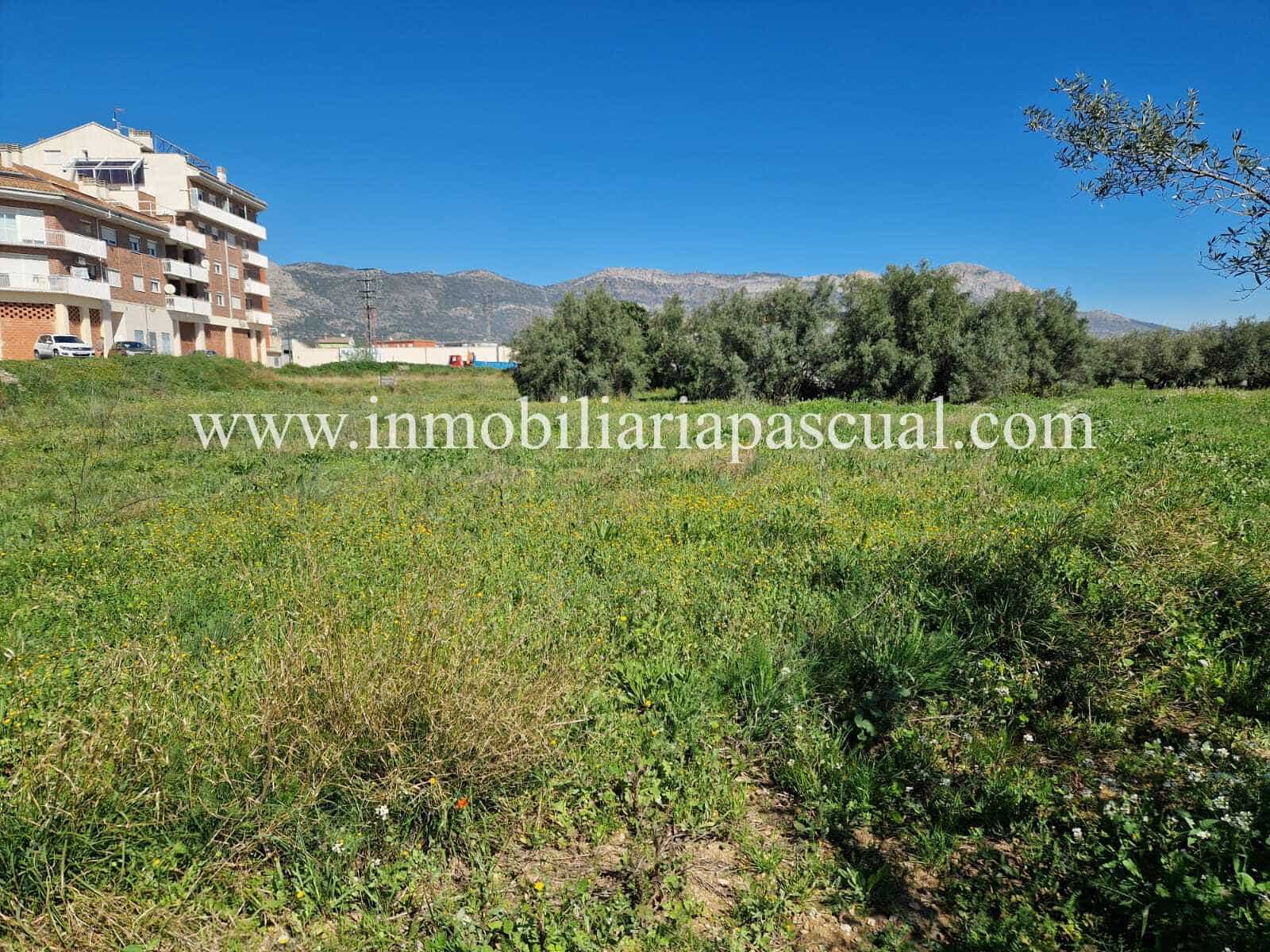 Area Edificabile in vendita in Muro de Alcoy - 50.000 € (Rif: 9905156)