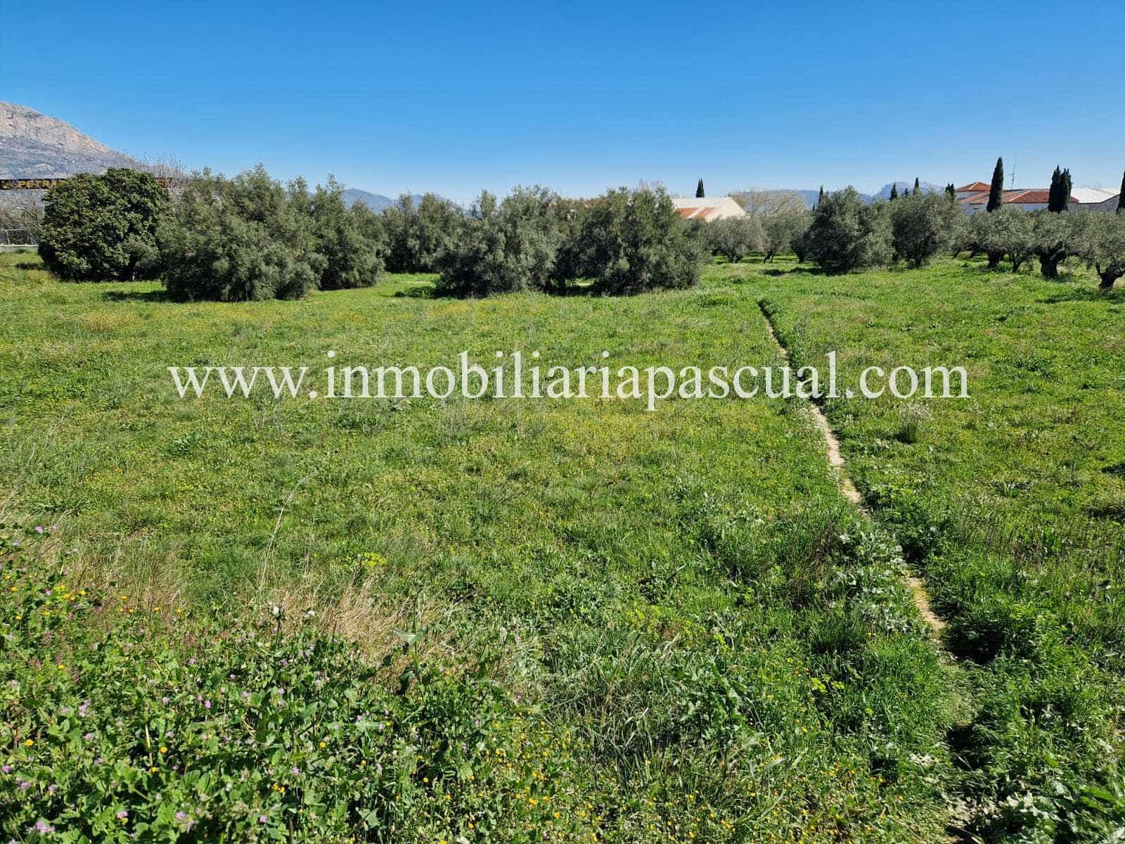 Area Edificabile in vendita in Muro de Alcoy - 50.000 € (Rif: 9905156)