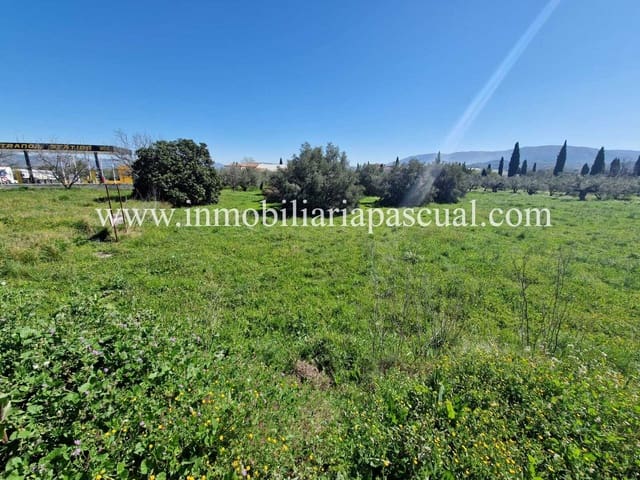 Area Edificabile in vendita in Muro de Alcoy - 50.000 € (Rif: 9905156)
