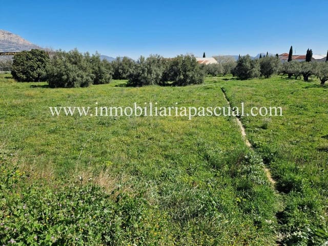 Area Edificabile in vendita in Muro de Alcoy - 50.000 € (Rif: 9905156)