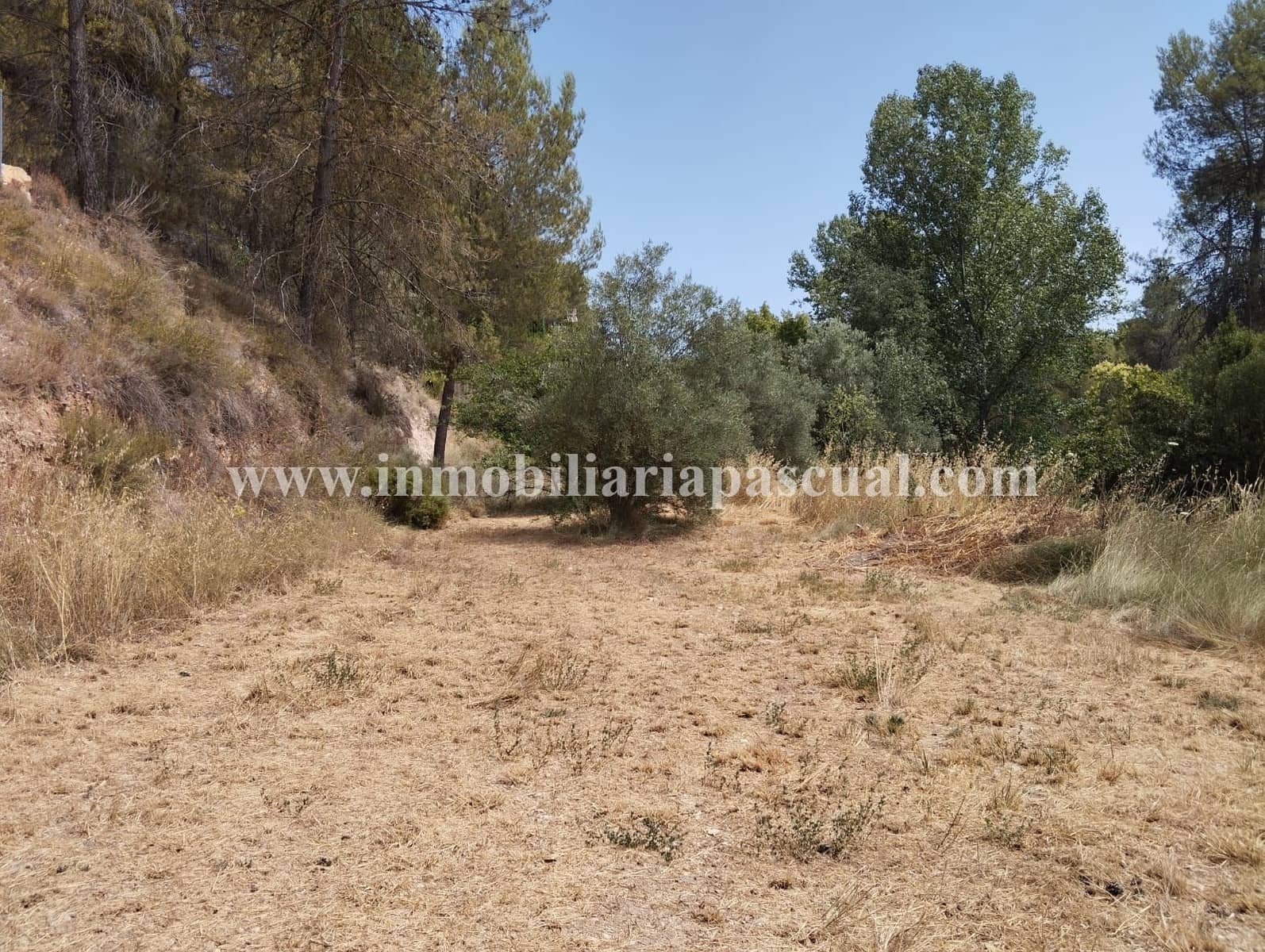 Area Edificabile in vendita in Alcoy / Alcoi - 45.000 € (Rif: 9963552)