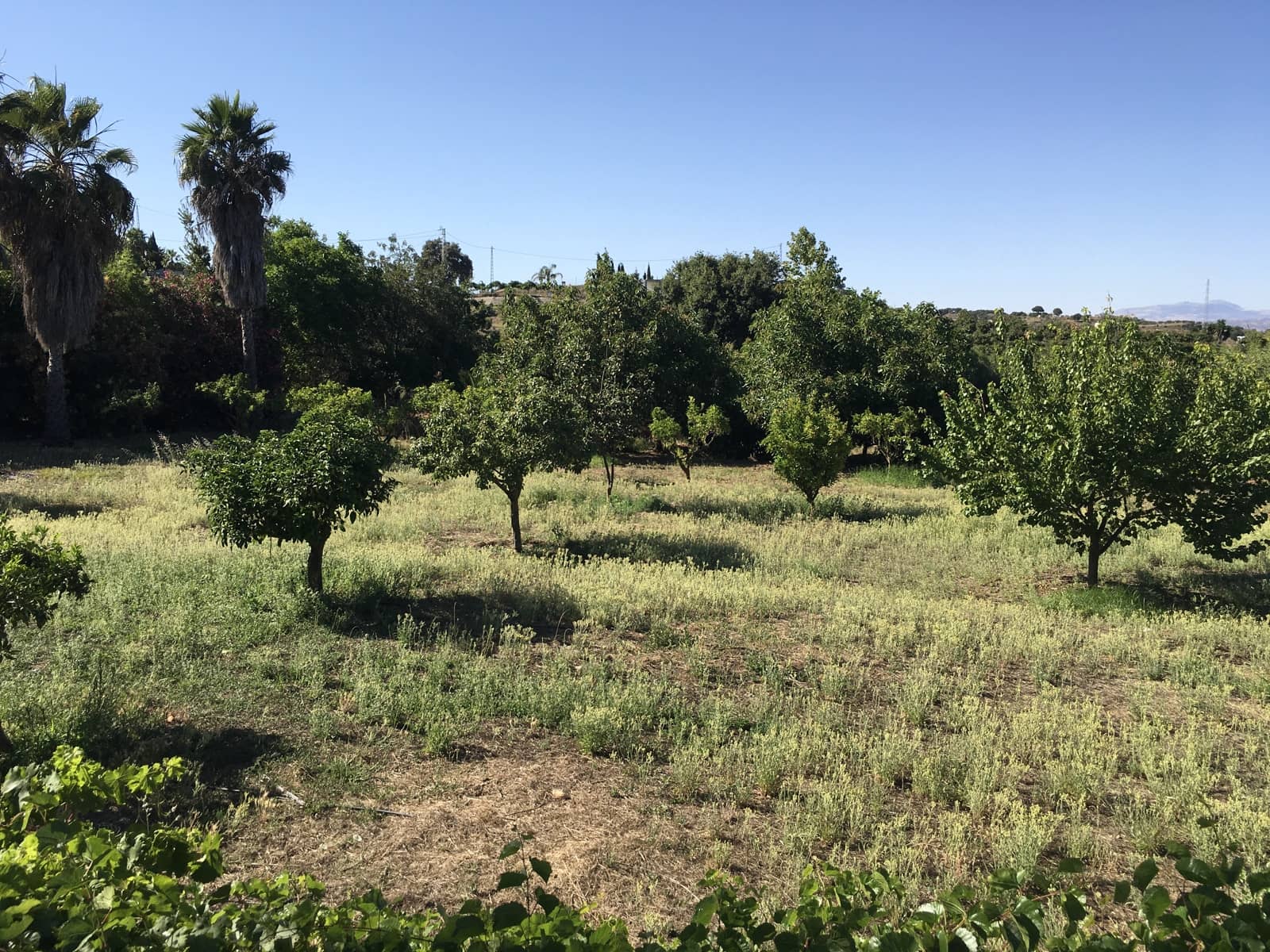 4 soverom Finca/Herregård til salgs i Alhaurin el Grande med svømmebasseng - € 550 000 (Ref: 8759478)