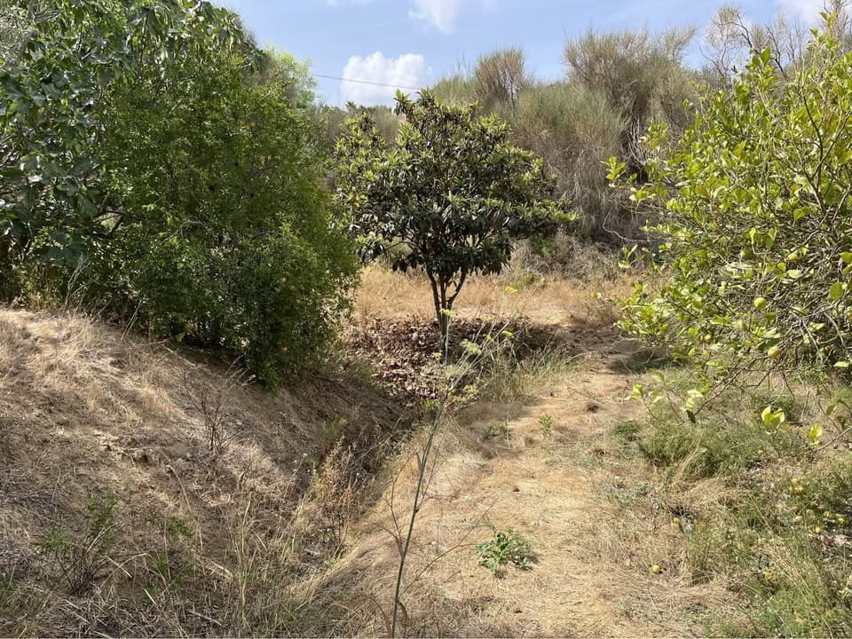 Finca/Landehus til salg i Cartama - € 170.000 (Ref: 9371143)