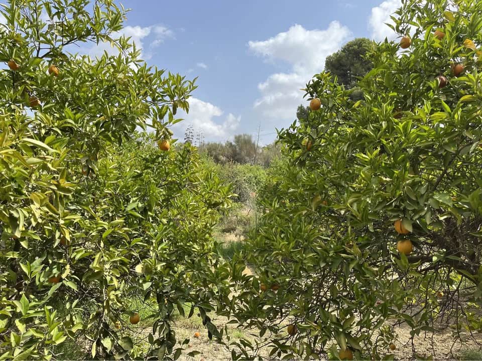 Finca/Landehus til salg i Cartama - € 170.000 (Ref: 9371143)