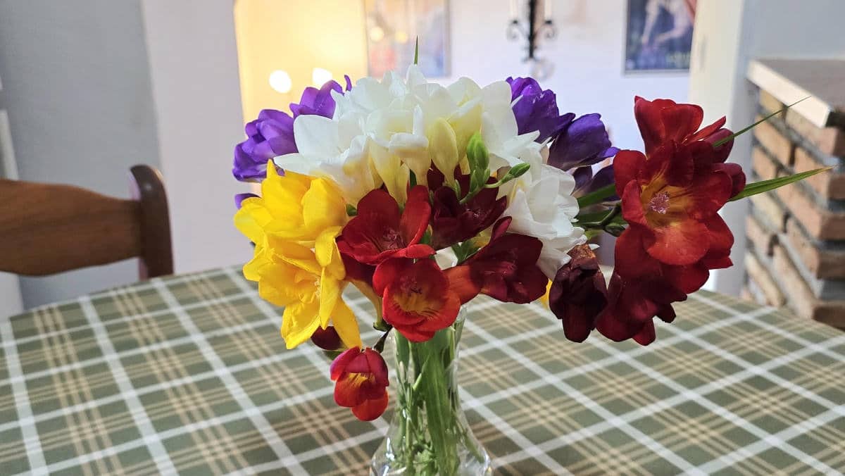 4 bedroom Finca/Country House for sale in Competa with pool garage - € 475,000 (Ref: 9759539)